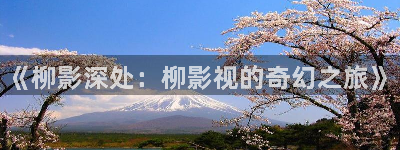 极速影院在线观看电视剧