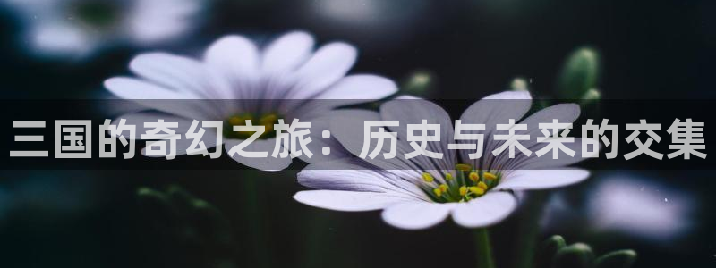 极速在线观看高清电视剧