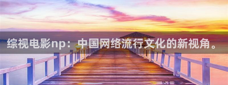 飞极速在线樱花动漫：综视电影np：中国网络流行文化的新视角。