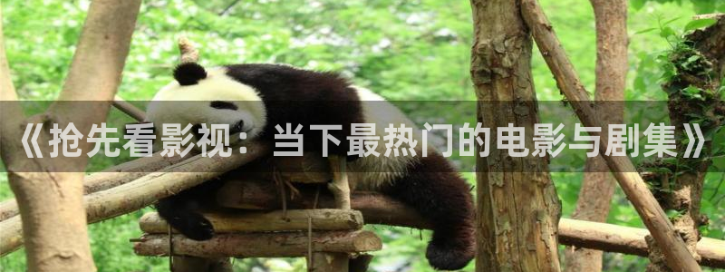 韩伦影院极速播放