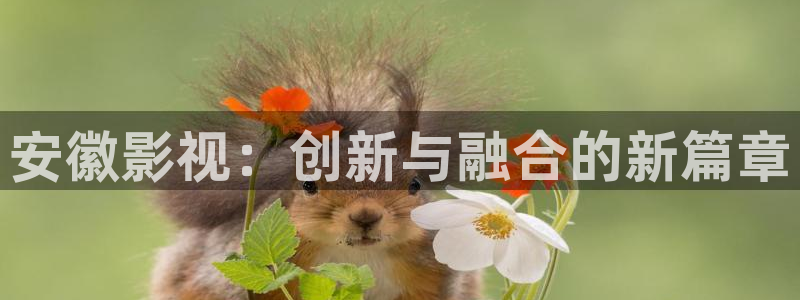 极速影院免费观看