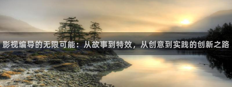 91极速影院：影视编导的无限可能：从故事到特效，从创意到实践的创新之路