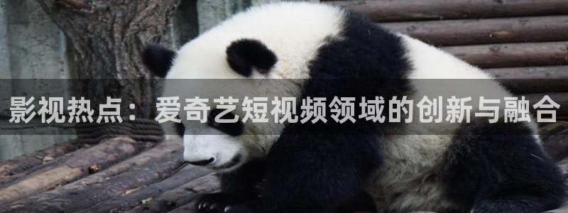 神马影院极速：影视热点：爱奇艺短视频领域的创新与融合