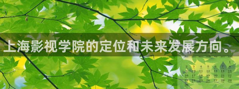 极速视频在线观看