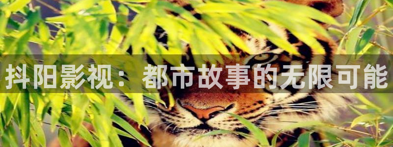 极速影院高清免费：抖阳影视：都市故事的无限可能