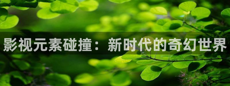 影视工厂极速蓝光1080