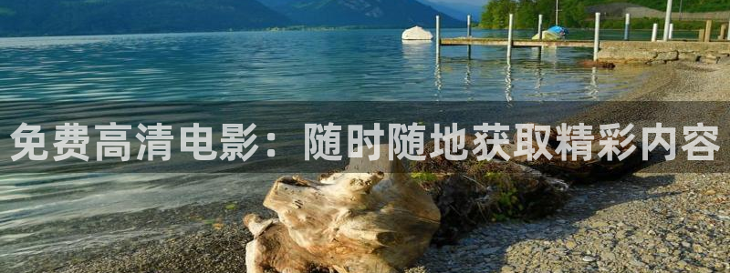 极速影院官网版