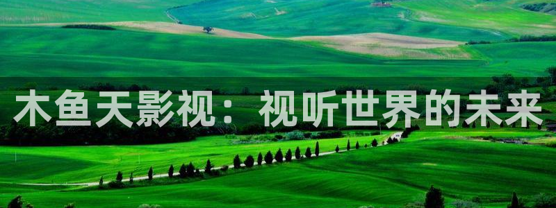 极速恋人2免费观看高清电视剧